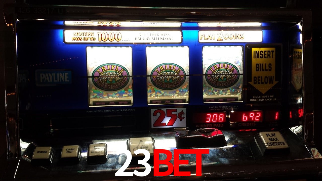 Statistics 23Bet